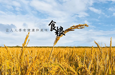 北京高(gāo)端網站(zhàn)建設公司-國瑞米業
