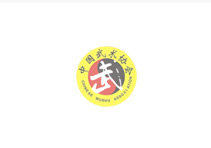 北京高(gāo)端網站(zhàn)建設公司-中國武術協會(huì)