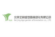 北京高(gāo)端網站(zhàn)建設公司-藝林(lín)盛世